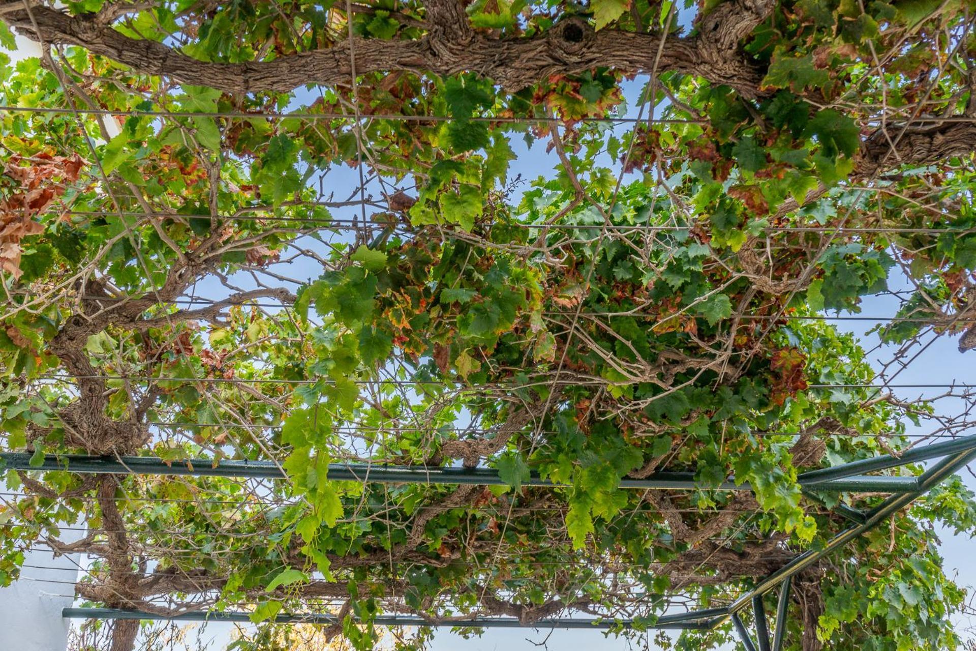 Paredones III Casa Rural Caminito Del Rey Alora Dış mekan fotoğraf